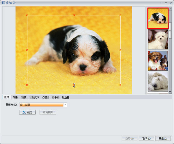 私房电子相册制作软件怎样制作电子相册