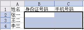WPS表格文字格式的正确输入法