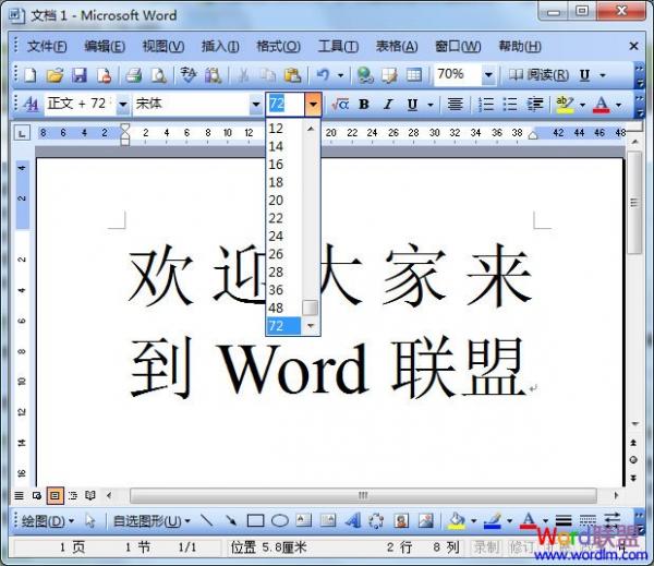 Word2003放大字体的三种方法