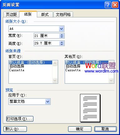 Word2003纸张和文档网格的设置