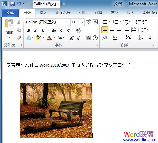 Word插入图片变成空白框怎么办