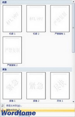 Word2007插入或删除水印