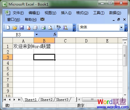 Excel表格怎么设置自动换行