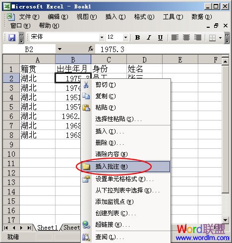 Excel 2003中添加单元格批注