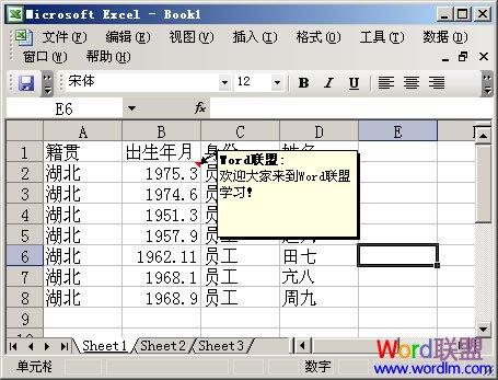 Excel 2003中添加单元格批注