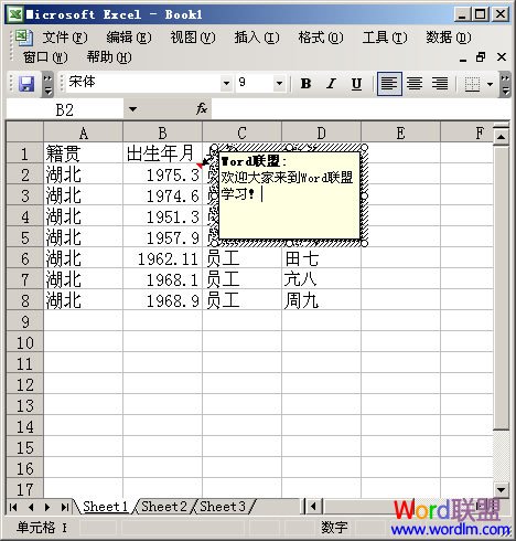 Excel 2003中添加单元格批注