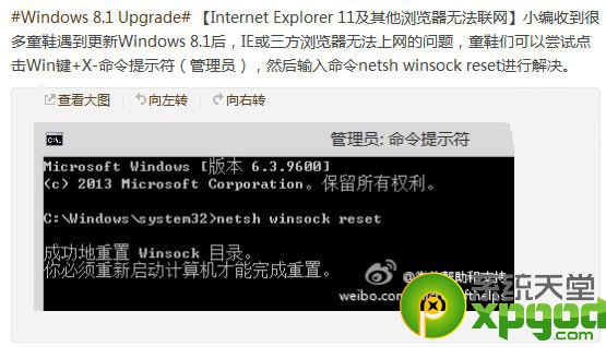 win8.1系统浏览器上不了网怎么办