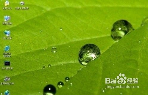 1479453535695780.jpg 10.jpg