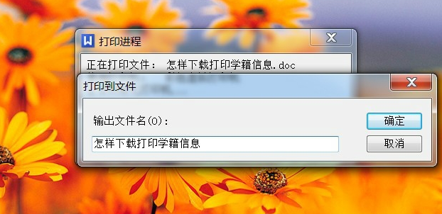 安装pdf 安装pdf