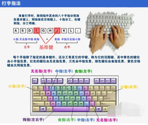 练习打字的软件,小猪教您怎么快速学会打字