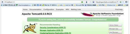 变量配置 变量配置