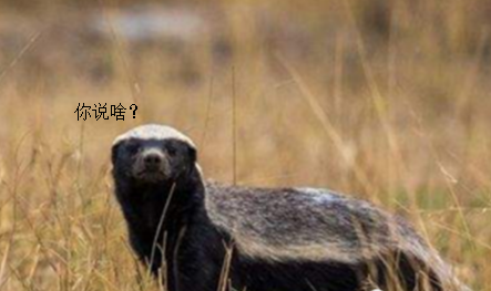 电脑内存条 电脑内存条