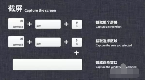 苹果系统 苹果系统