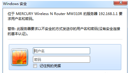 域名系统 域名系统