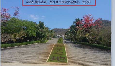 更改图片大小 更改图片大小