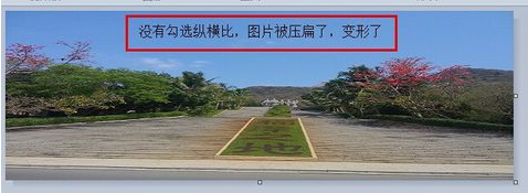 改变图片大小 改变图片大小