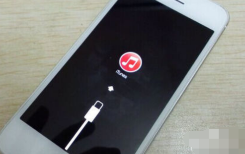 苹果手机 苹果手机