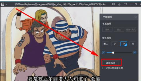 字幕怎么用 字幕怎么用
